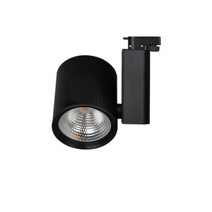 30W Led Polaris Ray Spot Siyah 6500K