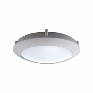 7W Led Glob Oval Armatür 6500K