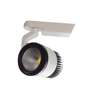 30W Led Ray Spot Siyah 3000K