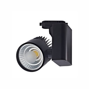 30W Ray Spot Siyah 6500K