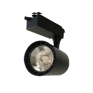 30W Led Alya Ray Spot Siyah 6500K