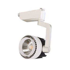 30W Led Zeta Ray Spot Beyaz 6500K